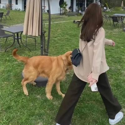 楚留香大结局